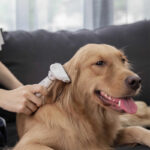 PAWBBY Peine Desenredante y Removedor de Pelo para Mascotas - Imagen 4